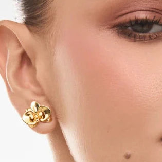 Aros Mini Orquídea Gold – Anna Prata | Trovare Chile
